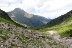 IMG_0074