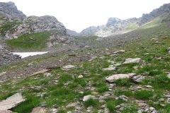 IMG_0081