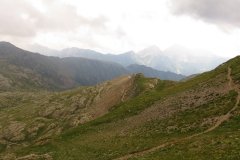 IMG_0130