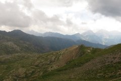 IMG_0135