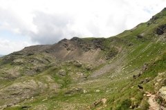 IMG_0203