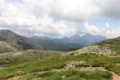 IMG_0206