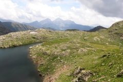 IMG_0227