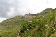 IMG_0230