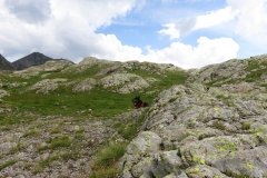 IMG_0273