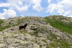 IMG_0277