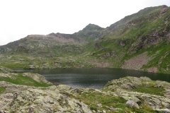 IMG_0278