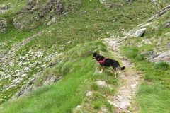 IMG_0287