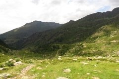 IMG_0310