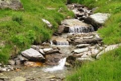 IMG_0320