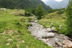 IMG_0331