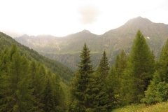 IMG_0347