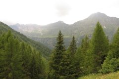 IMG_0349