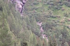 IMG_0352