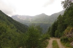 IMG_0353
