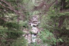 IMG_0357
