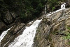 IMG_0358