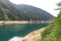 IMG_0374