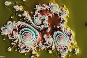 MandelbrotQud