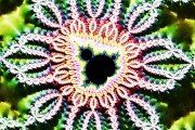 MandelbrotNewton3
