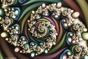 ExperimentHarlequin