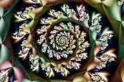 HarlequinGarden1