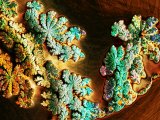 FunnySpirals1