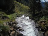 Val di Rabbi 068