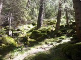 Val di Rabbi 071