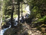 Val di Rabbi 072