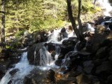 Val di Rabbi 074