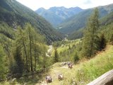 Val di Rabbi 094