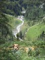 Val di Rabbi 095