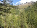 Val di Rabbi 097
