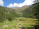 Val di Rabbi 104