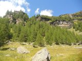 Val di Rabbi 119