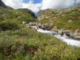 Val di Rabbi 169