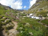 Val di Rabbi 176