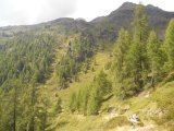 Val di Rabbi 554