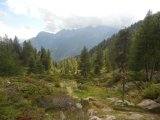 Val di Rabbi 560