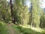 Val di Rabbi 583