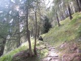 Val di Rabbi 584