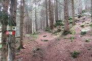 IMG_0001