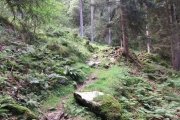 IMG_0003