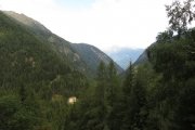 IMG_0008