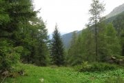 IMG_0009