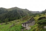 IMG_0011