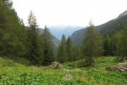 IMG_0015