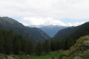 IMG_0018