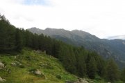 IMG_0021